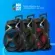 caixa-amplificada-mondial-xsound-cm-1000-n-1000w-rms-bivolt_4