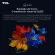 smart-tv-65--tcl-t6c-4k-uhd-qled-google-tv_5